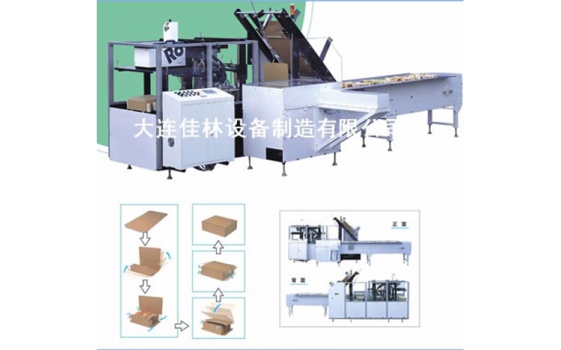 Full Automatic Case Packer