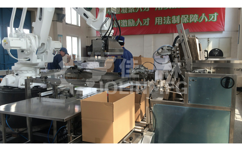 盒類藥品自動化后道包裝線